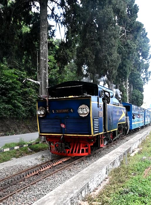 Nilgiri Mountain Railway locomotive on the track through the pines